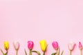 Easter composition flowers tulips on pink background. Banner copy space Royalty Free Stock Photo
