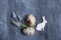 Easter composition with flowers, white rabbit and eggs flat lay, top view. Royalty Free Stock Photo