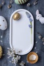 Easter composition with flowers, white rabbit and eggs flat lay, top view. Copy space. Royalty Free Stock Photo
