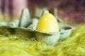 Easter composition with green egg box filled with a yellow fake egg with white dots Royalty Free Stock Photo