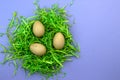 Easter composition with green nest and farm eggs on violet background. Happy Easter