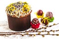 Easter composition with holiday cake, willow branches and eggs.