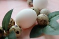 Easter composition of leaves, white chicken eggs and motley quail eggs