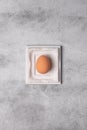 Easter composition. Natural colored chicken egg in white vintage plaster frame on concrete gray wall