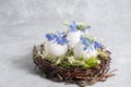 Easter composition in a natural style. Spring flowers arrangements with blue Scilla and eggs in the nest. creative Royalty Free Stock Photo