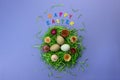 Easter composition with nest, eggs and colorful letters on violet background. Text Happy Easter