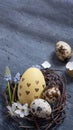 Easter composition with nest, flowers and eggs flat lay, top view. Copy space. Royalty Free Stock Photo