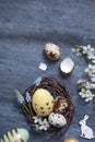 Easter composition with nest, white rabbit and eggs flat lay, top view. Royalty Free Stock Photo