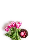 Easter composition with pink eggs in a nest and spring flowers tulips on a white background. Copy space, top view Royalty Free Stock Photo