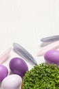 Easter composition with space for text Royalty Free Stock Photo