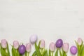 Easter composition with space for text Royalty Free Stock Photo