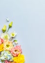 Easter composition with Spring Flowers and Easter eggs in nest on pastel blue background Royalty Free Stock Photo