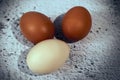 Easter composition. Three eggs on a gray background