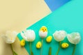 Easter composition - tulips, toy chicken  and quail eggs on geometric blue, yellow and green background Royalty Free Stock Photo