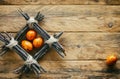 Easter composition, twigs tied with rope, quail orange eggs