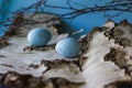 Easter composition. Two decorative, blue spotted eggs with on t