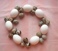Easter composition of white chicken eggs and motley quail eggs. Flat lay