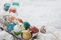 Easter concept with a bunny in nest. Painted easter eggs in egg Royalty Free Stock Photo