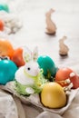 Easter concept with a bunny in nest. Painted easter eggs in egg Royalty Free Stock Photo