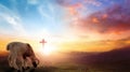 Easter concept, Christ Jesus concept, Flock of sheep on cross and sunset background Royalty Free Stock Photo
