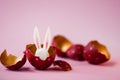 Easter concept. Colored eggs on pink background, Easter Bunny hiding inside. Red with pink polka dots, gold inside Royalty Free Stock Photo