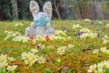 Easter 2021 concept during Coronavirus COVID-19 worldwide pandemic with Easter bunny wearing a medical mask and colorful spring