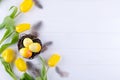 Easter concept - Decorative willow nest with decorative eggs, feather on white background. Copyspace for text. Royalty Free Stock Photo