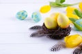 Easter concept - Decorative willow nest with decorative eggs, feather on white background. Copyspace for text. Royalty Free Stock Photo