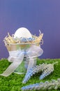 Easter concept - the egg in a decorative pail on the grass with Decker on a bright background