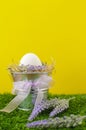 Easter concept - the egg in a decorative pail on the grass with Decker on a bright background