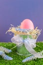 Easter concept - the egg in a decorative pail on the grass with Decker on a bright background