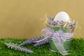 Easter concept - the egg in a decorative pail on the grass with Decker on a bright background