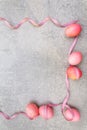 Easter concept pink rosy eggs with satin polka dot ribbons in sunny rays. On stone background. Frame Royalty Free Stock Photo