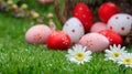Easter concept. White daisies on green grass, blurred easter eggs background. Selective focus on the flowers Royalty Free Stock Photo