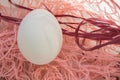 Easter concept, white egg on pink background, woven fabric nest, top view, copy space, sunlight Royalty Free Stock Photo