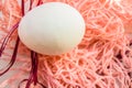 Easter concept, white egg on pink background, woven fabric nest, top view, copy space, sunlight Royalty Free Stock Photo