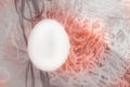 Easter concept, white egg on pink background, woven fabric nest, top view, copy space, sunlight