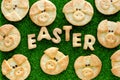 Easter cookies for kids, homemade sugar biscuits shaped funny pigs