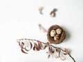 Easter creative composition from Nest, Quail eggs, feathers and branch of tree on white background. Top view