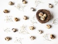 Easter creative composition from Nest, Quail eggs and flowers on a white background. Top view