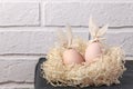 Easter creative. Two eggs with rabbit ears in a nest on the table, the idea of decorating for the holiday Royalty Free Stock Photo
