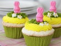 Easter cupcakes Royalty Free Stock Photo