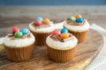 Easter cupcakes with chocolate frosting and candy eggs Royalty Free Stock Photo