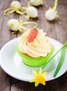 Easter cupcakes