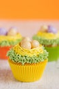 Easter Cupcakes Decorated With Eggs In Nest