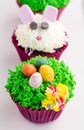 Easter Cupcakes Royalty Free Stock Photo