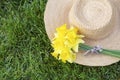 Easter daffodil flower on a straw hat Royalty Free Stock Photo