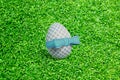 Easter day egg with tie gift on the green grass background Royalty Free Stock Photo