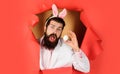 Easter Day. Surprised bearded man with white egg looking through paper. Eggs hunt. Spring holiday. Royalty Free Stock Photo