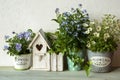 Easter decor with bird house and spring flowers Royalty Free Stock Photo
